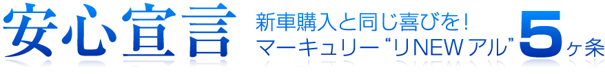 安心宣言